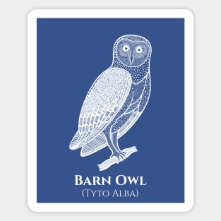 Barn Owl with Common and Latin Names - animal lovers design Magnet